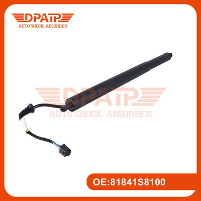 Силовая подъемная дверь 81841S8100 81830S8100 для Hyundai Palisade