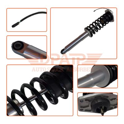 Автозапчасть 248256 Комплекты койловеров Подвеска Пружина Стойка Задний амортизатор Индуктивный демпфер для Maserati Quattroporte M139 2007-