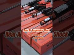 2213201738 2213201838 Передние амортизаторы для Benz W221